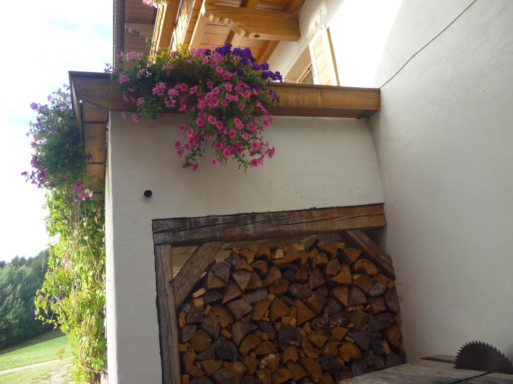 Radauerhof Villa Кастелрото Екстериор снимка