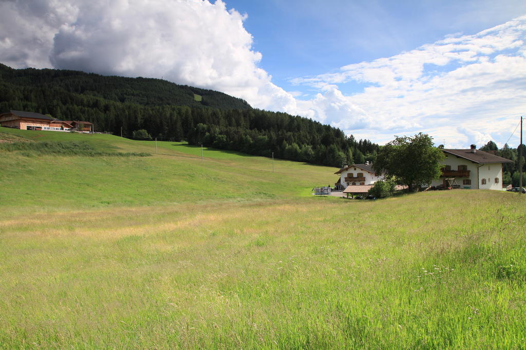 Radauerhof Villa Кастелрото Екстериор снимка